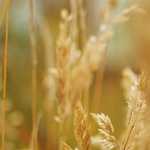 TDLに行ってきました