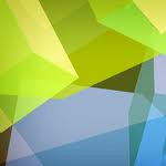 イチモンジチョウ