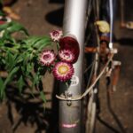 錆び付いた自転車 ノスタルジック♪