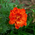 これは何でしょう？　K20D