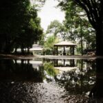 台風の忘れ物♪　水たまり　ノスタルジック