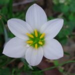 k-mの高解像度設定