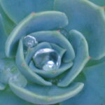 AF微調整　K20D　FA50mmF1.4