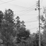 K20D　11点ワイドAFの実力