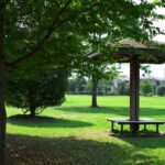 昼下がりの公園　K20D