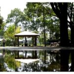 雨上がり　水たまりの世界