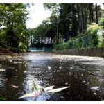 台風の過ぎ去った後