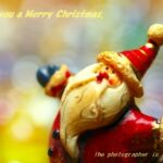 I ｗｉｓｈ ｙｏｕ ａ Ｍｅｒｒｙ Ｃｈｒｉｓｔｍａｓ.