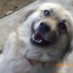 Pentax Optio E40でゆいちゃん撮り