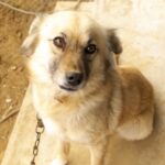 DA21でゆいちゃん撮り♪