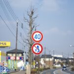 A50mmF2 標識チェック