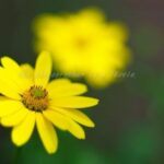 ご無沙汰しています