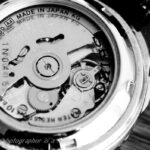 D FA MACRO 100mmF2.8 WR　腕時計ムーブメント