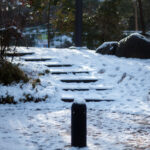 最高速シャッター1/8000秒の魅力