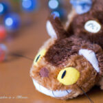 D FA MACRO 100mmF2.8 WR 玉ボケ