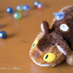 DA35mmf2.8 macro limited 玉ボケ