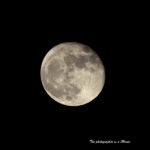 立待月　月齢 15.5