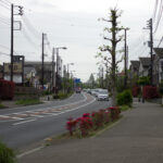 SMC PENTAX-A 50mm F2.8 Macro 無限遠 絞り開放の描写