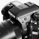 かもめ食堂　引っ越します