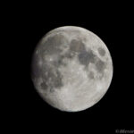 月齢 12　十三夜