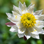 ペーパーカスケード２