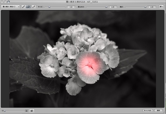 ピクチャ 3.jpg